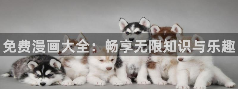 51漫画在线下载