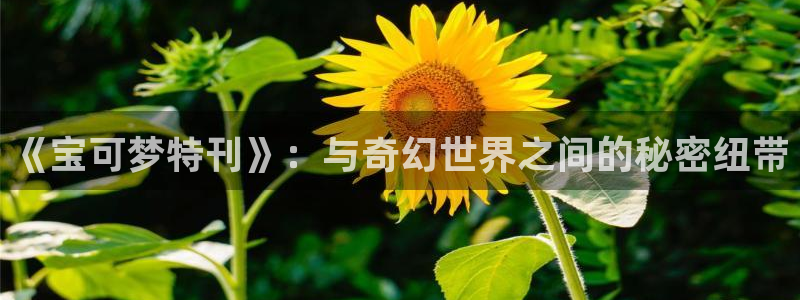 51漫画轻量版下载