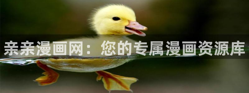 51漫画免费版在线观看