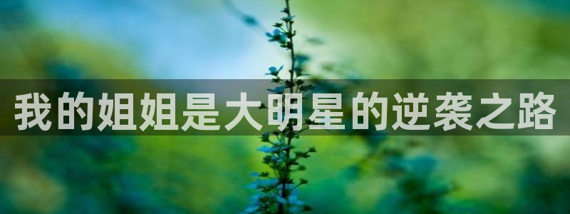 51漫画app在线看